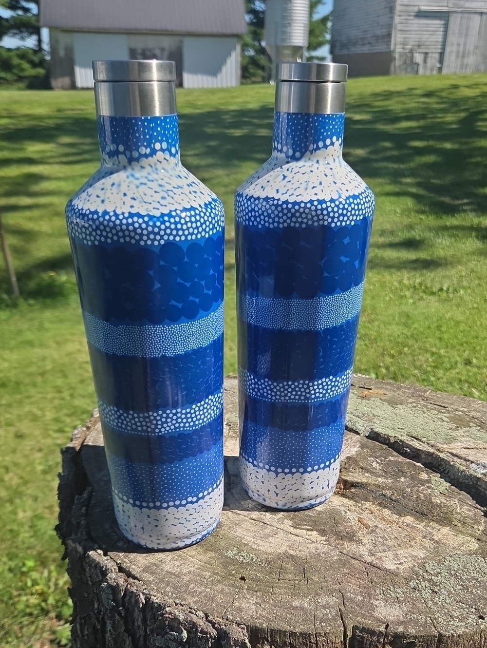 NEW! 25oz. Blue Patterned Double Wall Stainless Steel Water Bottles (Set of 2)